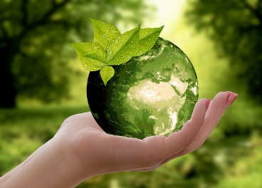 Aecoc entrega los premios Lean & Green