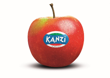 Nueva edición de Yes You Kanzi (VOG)