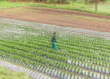Vegalsa-Eroski refuerza su confianza en lo local