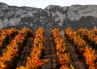 Rioja refuerza su posición en España