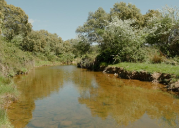 Nestlé fomenta la sostenibilidad