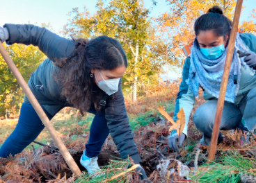 Vegalsa-Eroski promueve la reforestación