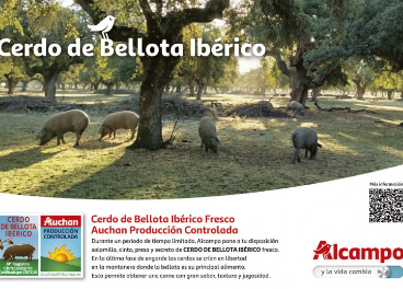 Catálogo cerdos ibéricos de bellota