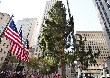 Christmas Tree en Nueva York