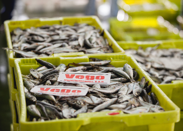 Alimentos locales de Vegalsa-Eroski