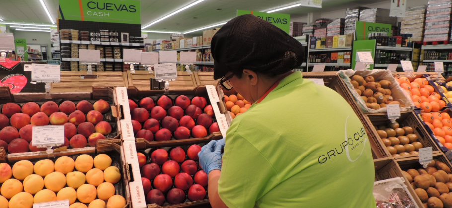 Grupo Cuevas crece un 5%, hasta los 245M